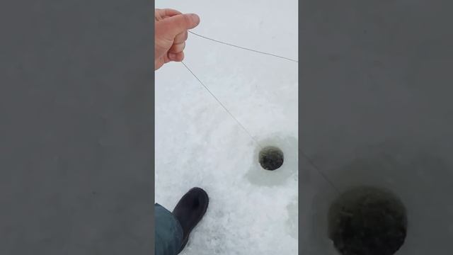 Щука на жерлицы Ладога 11.03.17 смотреть онлайн