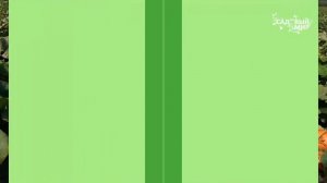 ПОРЦИОННЫЕ ТЫКВЫ от компании СеДек | Обзор и характеристика тыкв