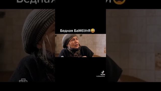 пёс-смешные моменты ???