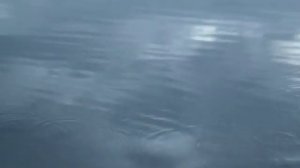 Ловля окуня на удочку в Карелии