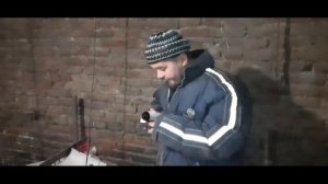 Кокцидиоз, колибактериоз, причина падежа 12 поросят. Дезинфектор в сарае для свиней. Свиноводство.