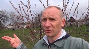 Опрыскивание в дождливую погоду