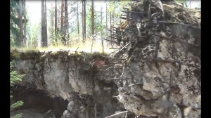 Линия Маннергейма