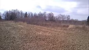 ИЖС в Тимохино