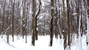 Муж изменил жене и нашёл себе помоложе, но потом судьба отыгралась на нём по полной программе..