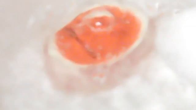 По секрету всему свету. Как мы варим яйца / egg timer смотреть онлайн