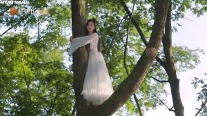 Невеста на одну ночь  дорама