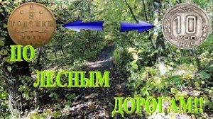 УДИВИТЕЛЬНО! Как ТАКОЕ может быть на лесной дороге!!