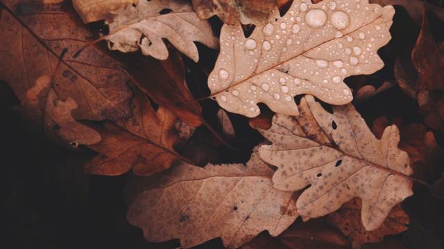 M. Glinka - The Lark. Vicente Martínez, flute. Matteo Salvio, piano смотреть онлайн