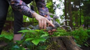 На Дачу с Наташей Барбье, реконструкция части сада  для НАТАЛЬИ СЕЛЕЗНЕВОЙ