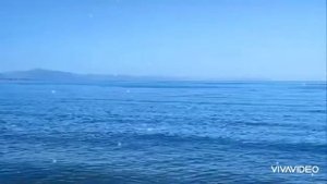 ♥️??  У МЕНЯ ПЕРЕСЫХАЮТ ГУБЫ ОТ ОДНОЙ ЛИШЬ МЫСЛИ О ТЕБЕ... ♥️??