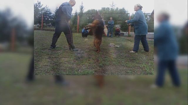 Рыжая Бестия Юрмала смотреть онлайн