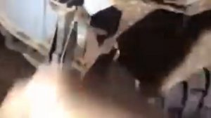 УСТАНОВКА КРЫЛЬЕВ ИЗ СТЕКЛОПЛАСТИКА АУДИ 80 Б3