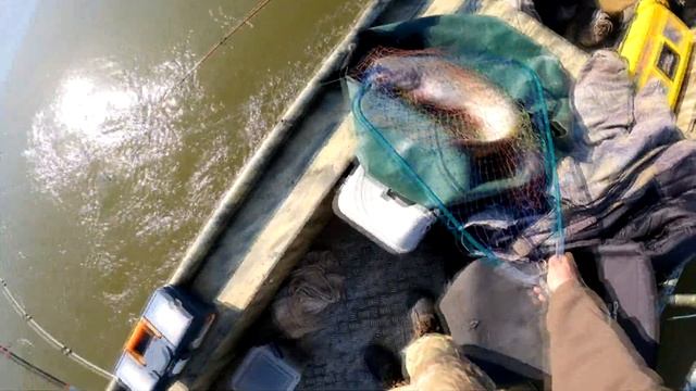 Рыбалка в Астрахани 2021 / Поймал сома / остров Мумра смотреть онлайн