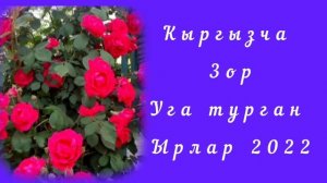 □ Жолдо уга турган ырлар □ ♡ Кыргызча зор уга турган ырлар 2022ж ♡