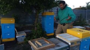 Сетчатое дно улья когда закрывается