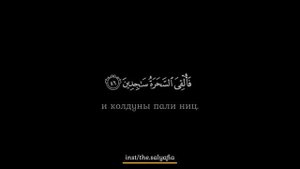Ali Kalaev (Али Калаев) красивое чтение Корана