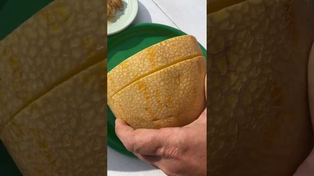 Дыня на даче #дыня #дача #сибирь смотреть онлайн