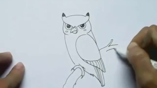 Учимся рисовать. Рисуем сову. смотреть онлайн