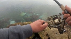 Ловля кефали в Средиземном море