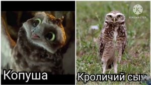 Персонажи "Легенды ночных стражей" в реальной жизни