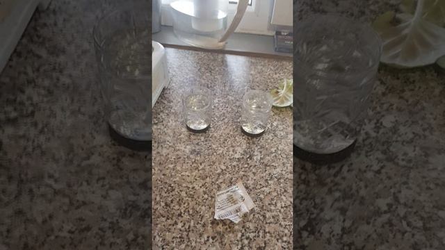 Как укоренять листик фиалки. смотреть онлайн