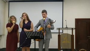 У дикого гуся