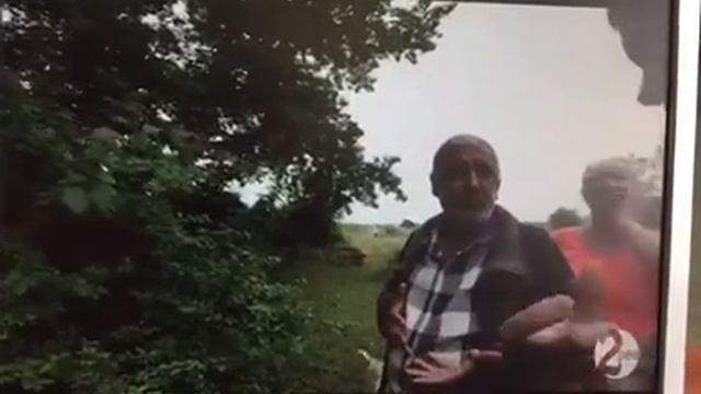 Азербайджанский грецкий орех смотреть онлайн