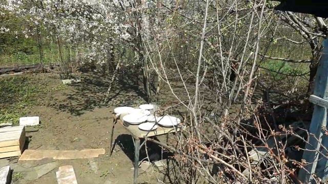 ⚡ Dandy на даче ➢ Часть 1 ➣ 1 Мая смотреть онлайн