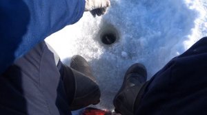 Озеро Таватуй. Зимняя рыбалка. Наконец есть рыба