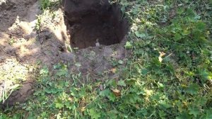 Minelab Equinox 600 против XP Deus стопка монет гвоздь и монета