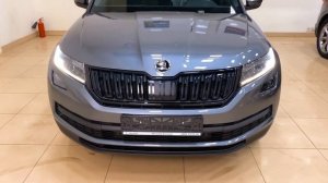 Черная решетка и защита радиаторов в Skoda Kodiaq
