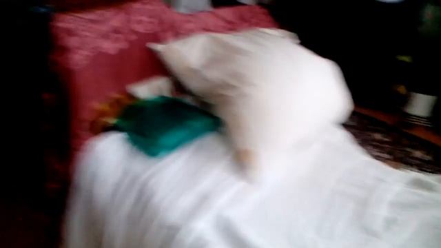 как построить домик из одеял и простони смотреть онлайн