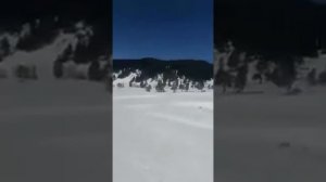 Архозавр 4.03.19