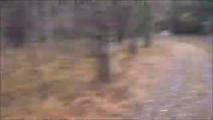 Покатались по лесу на ЛУАЗЕ оффроуд версия лайт