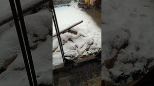 Ворота гармошкой своими руками