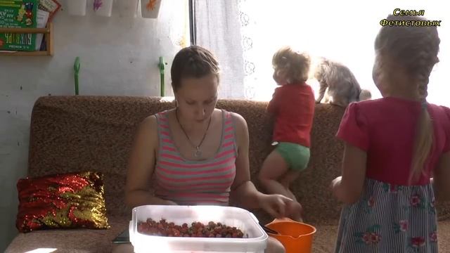 Самая вкусная ягода на зиму. БЯКА обыкновенная. // Товары из Иваново Т-Декор смотреть онлайн