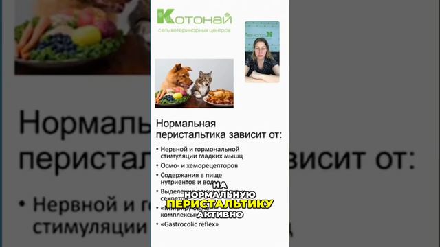 Имеются лишения моторики в движениях желудочно-кишечного тракта