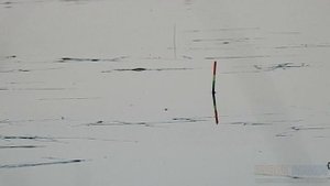 Ловля КАРАСЯ в начале июня на поплавок. Рыбалка на лесном озере.