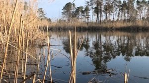 РЫБАЛКА на БОКОВОЙ КИВОК ЛЕЩИ кабаны