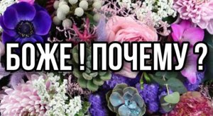 БОЖЕ ! ПОЧЕМУ ? ХРИСТИАНСКИЙ СТИХ