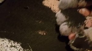 разбор ФПК ео-62-к