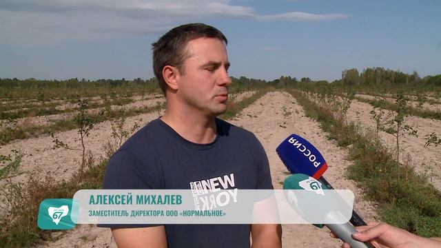 Рославльский фермер развивает картофелеводство на средства гранта «Агростартап»