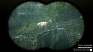 Red Dead Redemption 2 - Испытание Мастер-охотник 3 \ 10