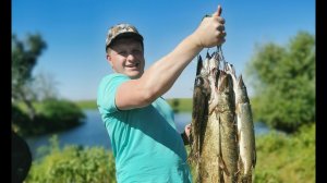 На рыбалку за щукой. Волгоахтубинская пойма. Бешеный клев.