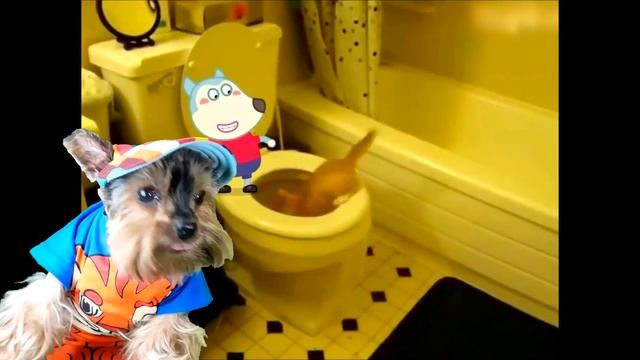 ТВ ВУМЕН застукали СО СКИБИДИ ТУАЛЕТОМ в ДУШЕ! Skibidi Toilet СКИБИДИ ТУАЛЕТ ТВ ВУМЕН Валеришка Мак смотреть онлайн