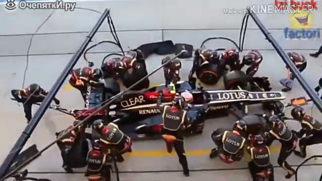 Приколы про животных частъ 13 смотреть онлайн