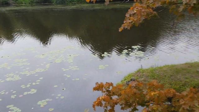 Агроусадьба Три Богатыря, Брестская обл , Беларусь