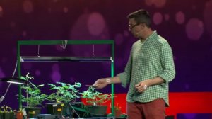 Электрические эксперименты с растениями, которые считают и общаются.