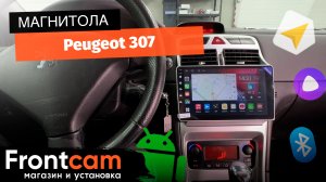 Магнитола Canbox L-Line 4167 для Peugeot 307 на ANDROID